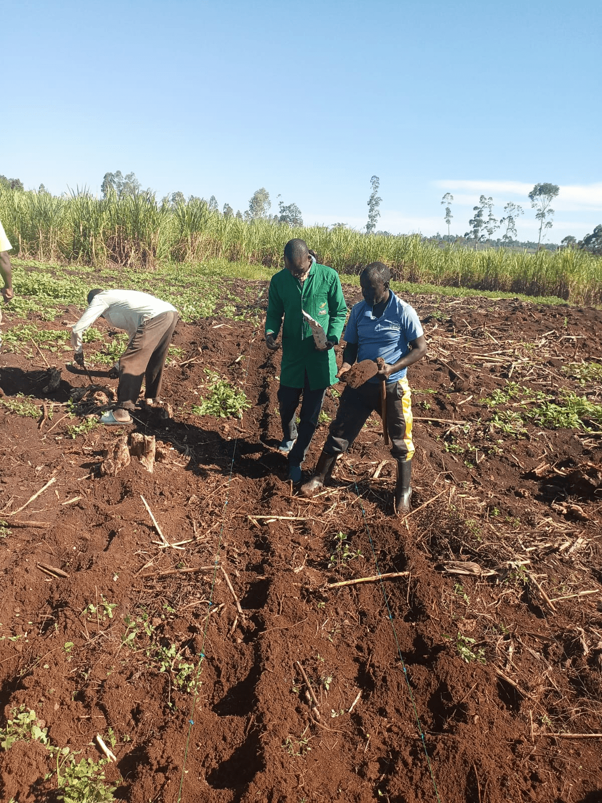 Farmers examining soil during the JAAG Lwanda farm demonstration