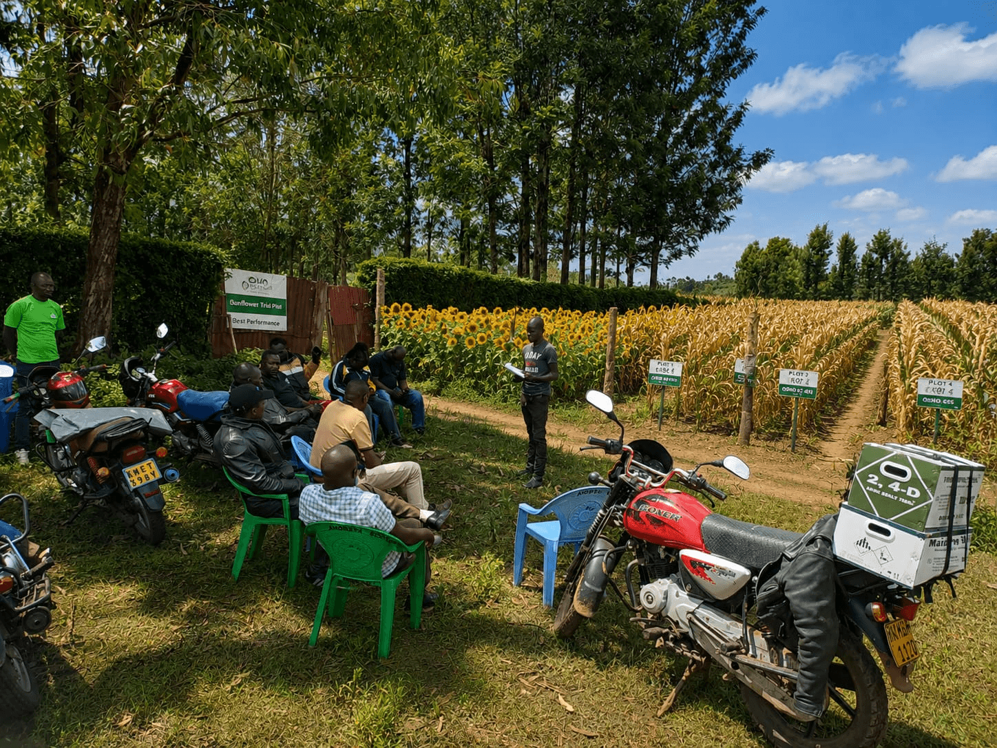 A field discussion beside maize and sunflower plots at a JAAG demo farm in Migori